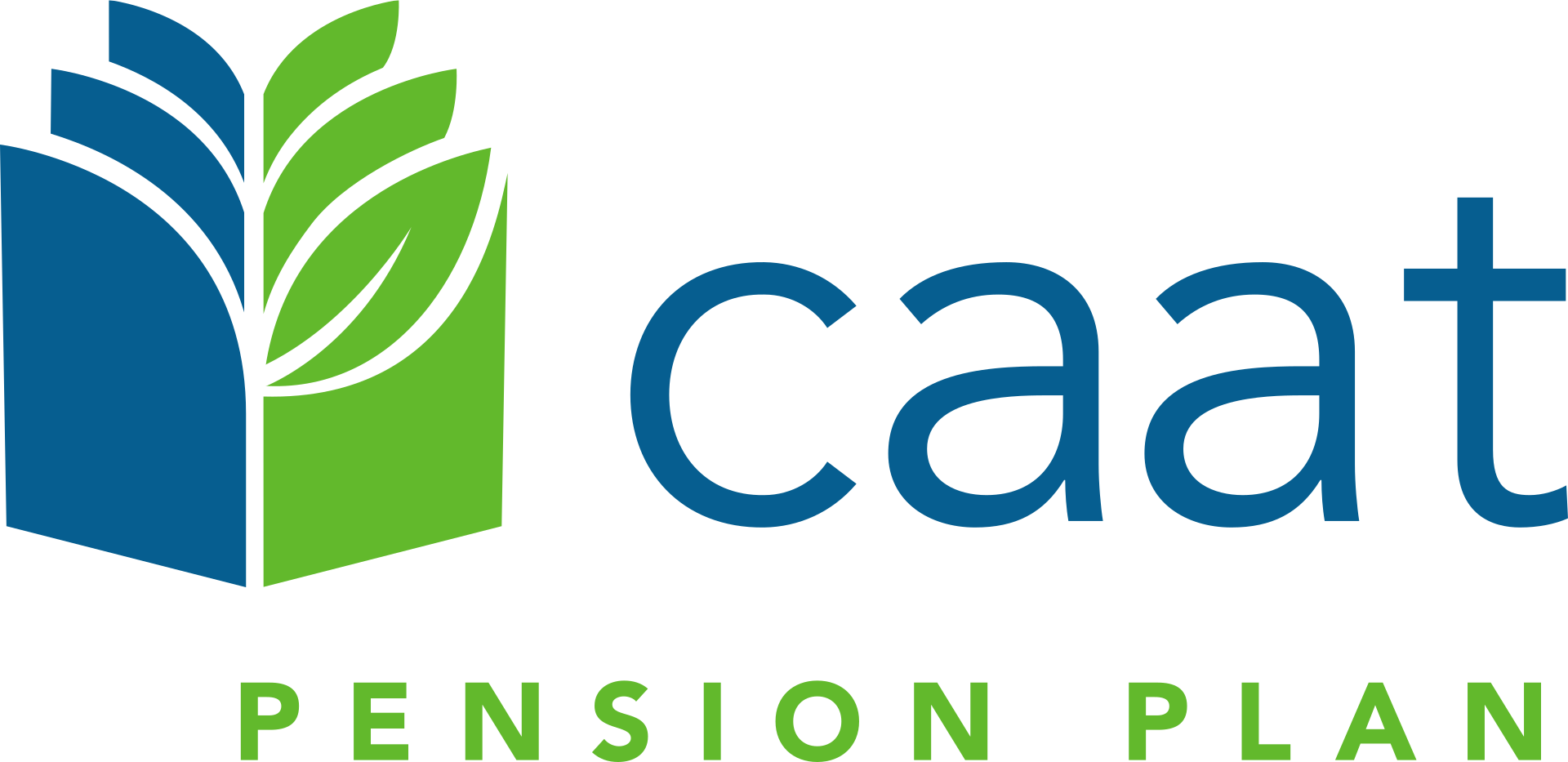 CAAT Logo